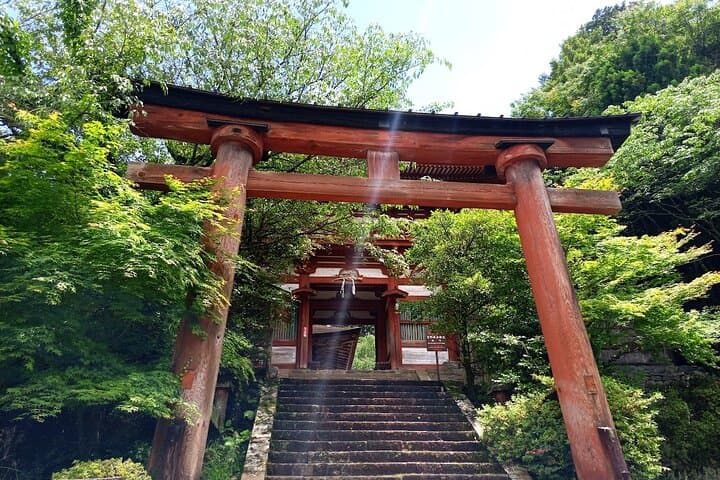 Private Guided Half-Day Walking Tour in Yoshinoyama — photo 7