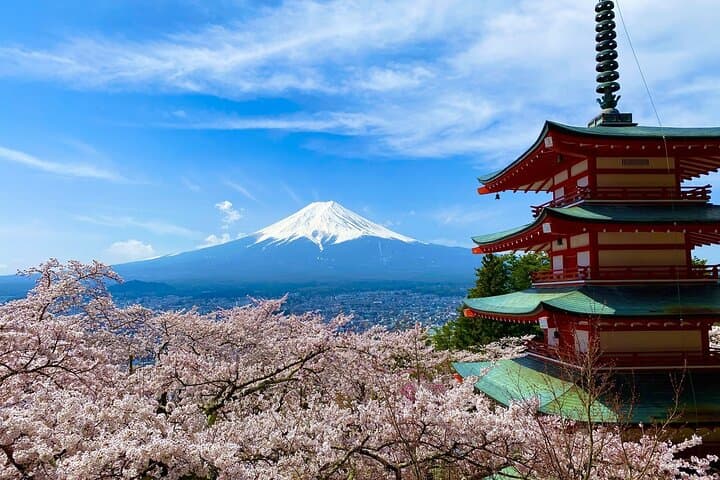 Mt. Fuji and Lake Kawaguchi Sakura Festival Sightseeing Tour — photo 3