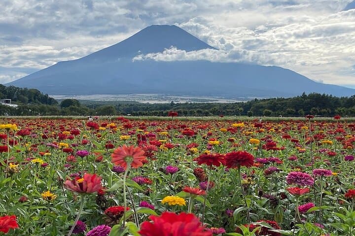 Mt. Fuji and Lake Kawaguchi Sakura Festival Sightseeing Tour — photo 13