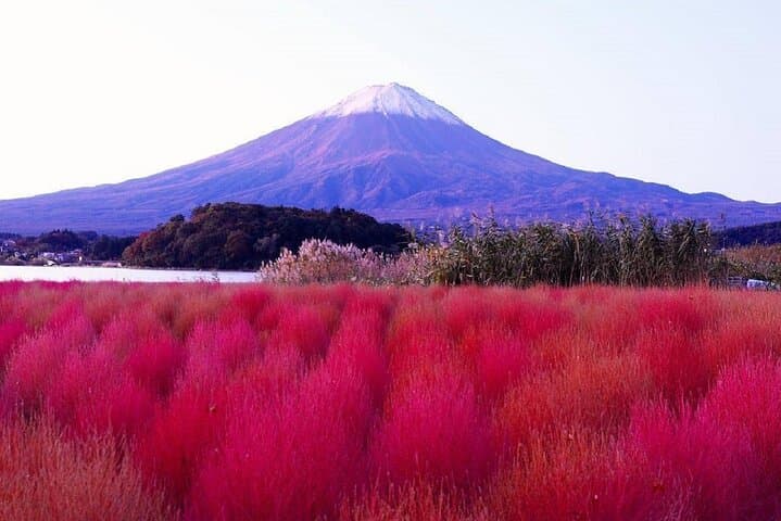 Mt. Fuji and Lake Kawaguchi Sakura Festival Sightseeing Tour — photo 11