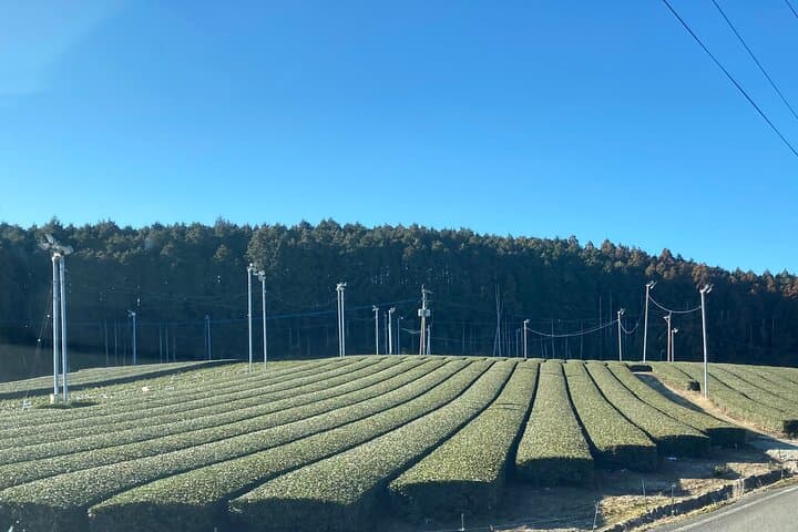 Ceramics and Green Tea Tour of Nagasaki and Saga Prefecture — photo 11