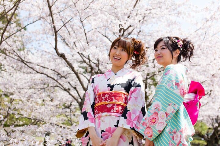 Kyoto 1day 100% silk of traditional. Kimono Rental Experience — photo 1