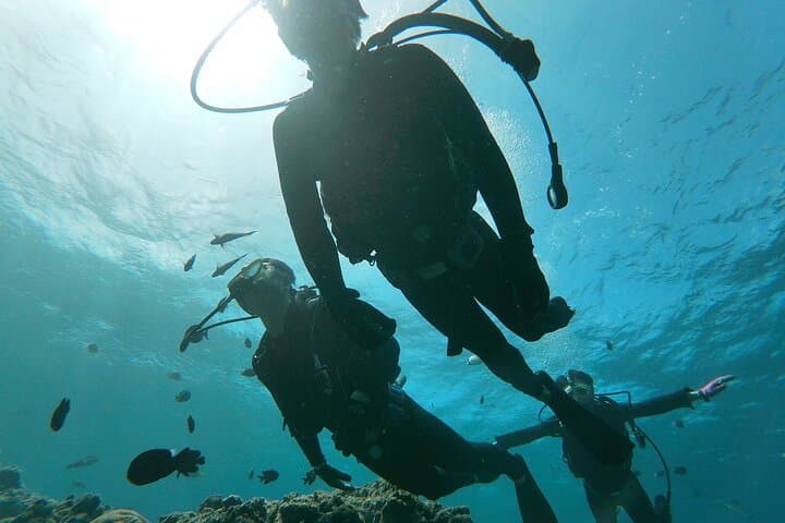 【Okinawa】 Blue Cave Guided Dive No License Needed — photo 6