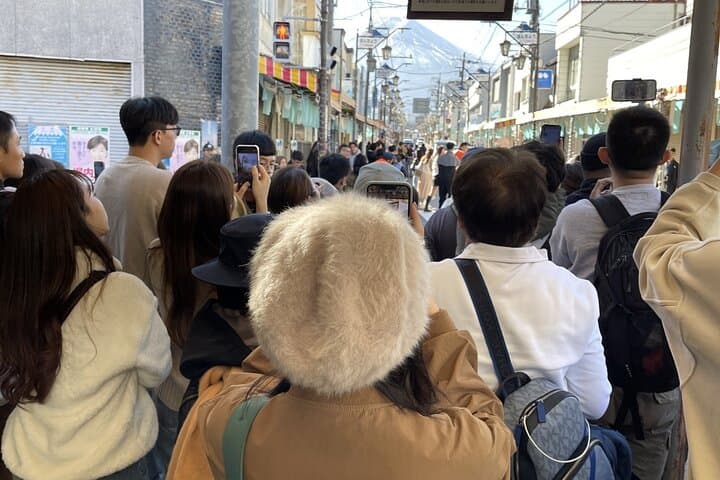 Mt. Fuji and Lake Kawaguchi Sakura Festival Sightseeing Tour — photo 2
