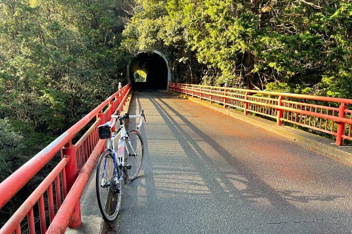 Rent a Road Bike to Explore Kyoto and Beyond — photo 3