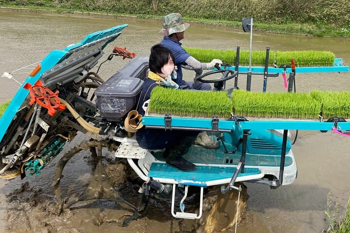 Private Rice Agriculture Experience in Mie with Modern Technology — photo 18