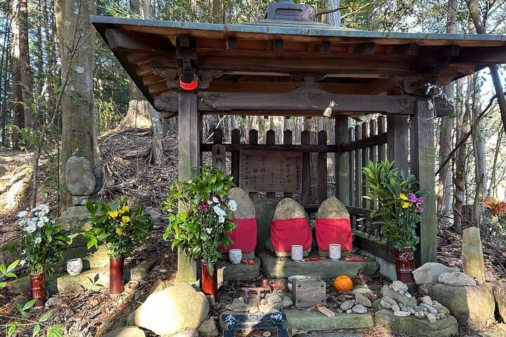 3 Day Kumano Kodo Pilgrimage Route Walking Tour from Osaka — photo 5