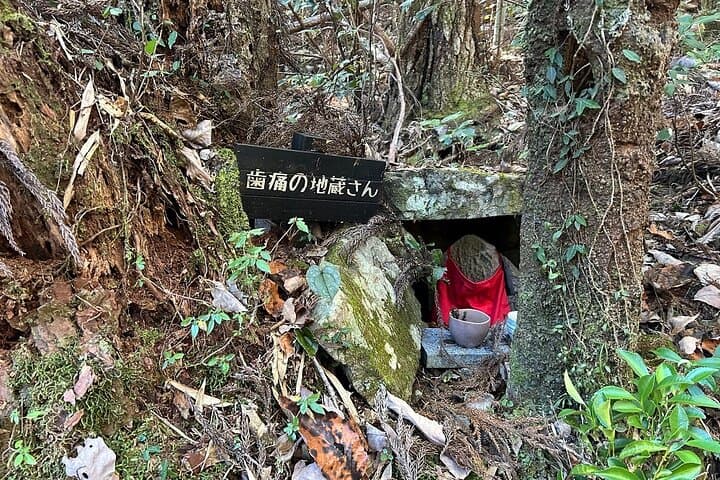3 Day Kumano Kodo Pilgrimage Route Walking Tour from Osaka — photo 11