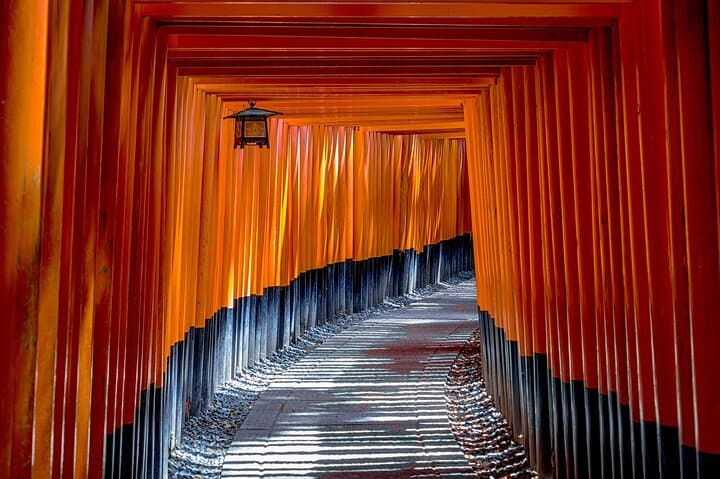 Kyoto Private Cultural Historical Tour with Local Japanese Guide — photo 2