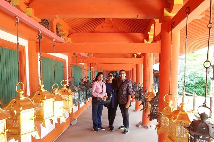Nara 9hr Tour Licensed Guide&Vehicle: Kyoto pickup/Osaka dropoff — photo 4