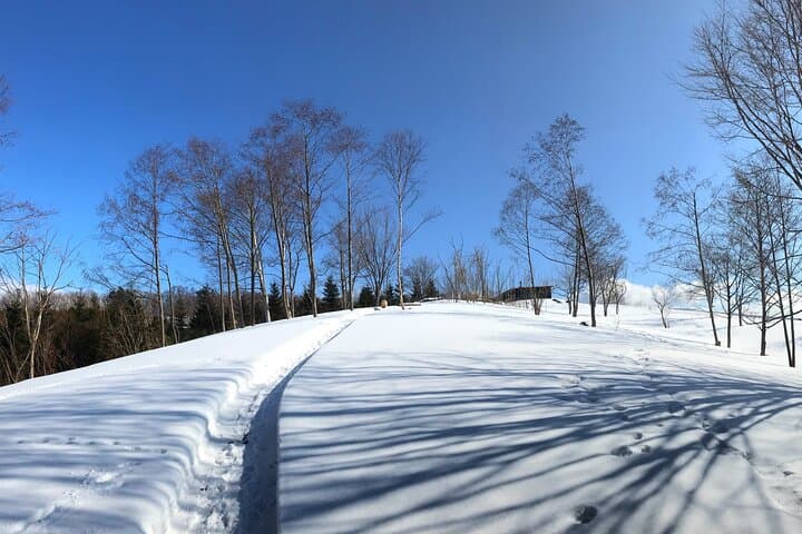 Hokkaido Nature and Gourmet Experience near Lake Toya — photo 7