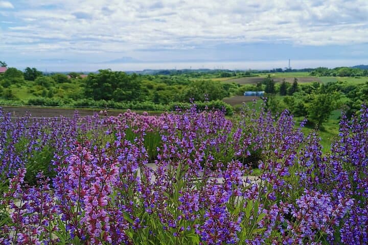 Hokkaido Nature and Gourmet Experience near Lake Toya — photo 9