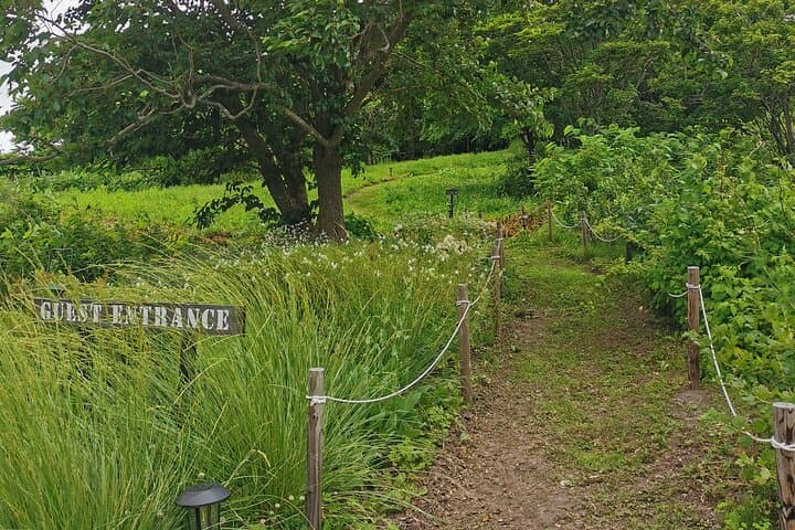 Hokkaido Nature and Gourmet Experience near Lake Toya — photo 11