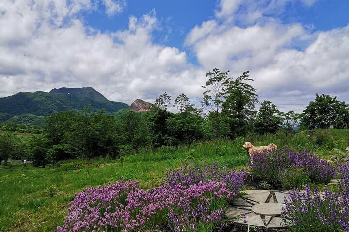 Hokkaido Nature and Gourmet Experience near Lake Toya — photo 13