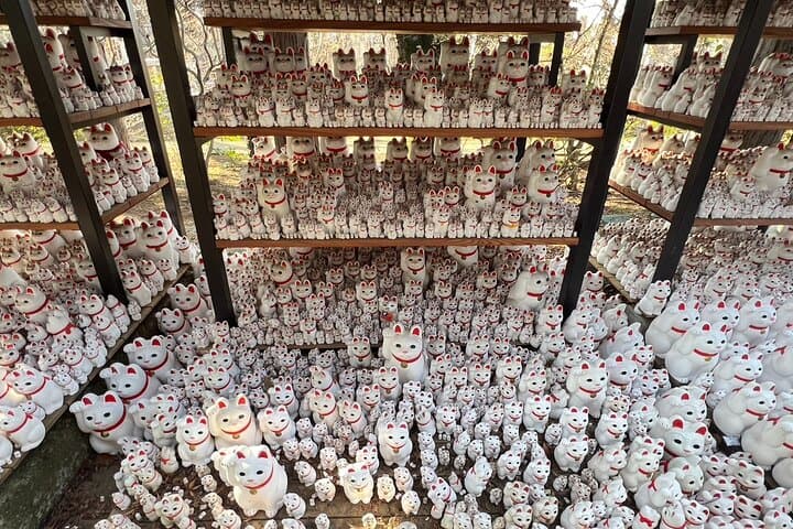 Tokyo: Gotokuji Culture Walk & Lucky Cat Temple Experience — photo 11