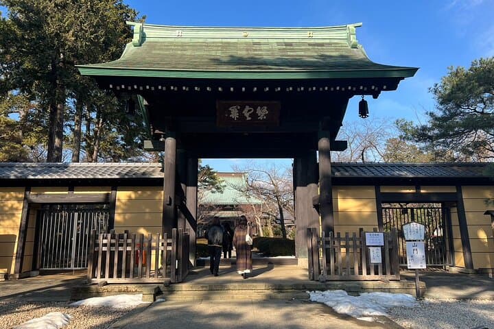 Tokyo: Gotokuji Culture Walk & Lucky Cat Temple Experience — photo 3