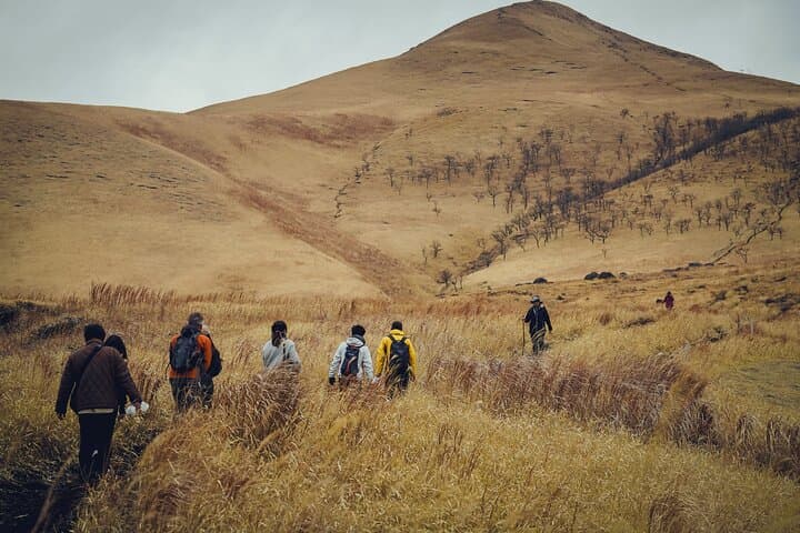 Mt. Yufu Grassland Private Hiking and Lunch — photo 3