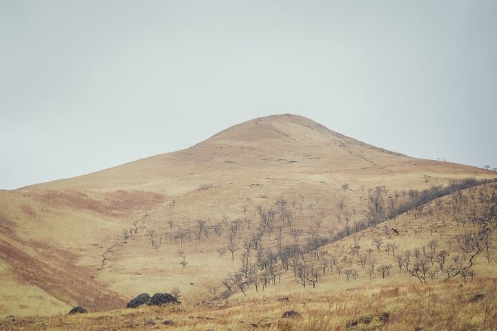 Mt. Yufu Grassland Private Hiking and Lunch — photo 5