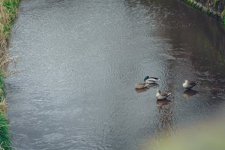 Yufuin Onsen Private Guided Walking Tour — photo 8