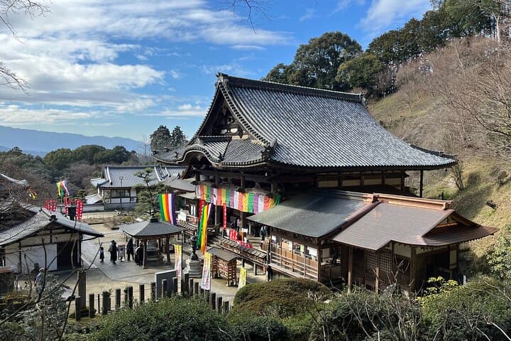 Ancient Nara Walking and Cycling Tour in Asuka — photo 8