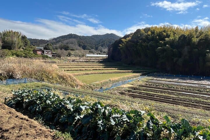 Ancient Nara Walking and Cycling Tour in Asuka — photo 9