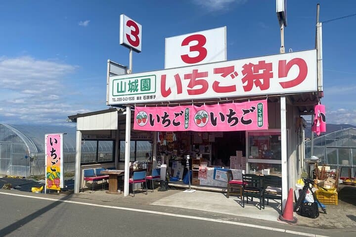 All-you-can-eat picking of organic strawberries in Yamanashi — photo 4