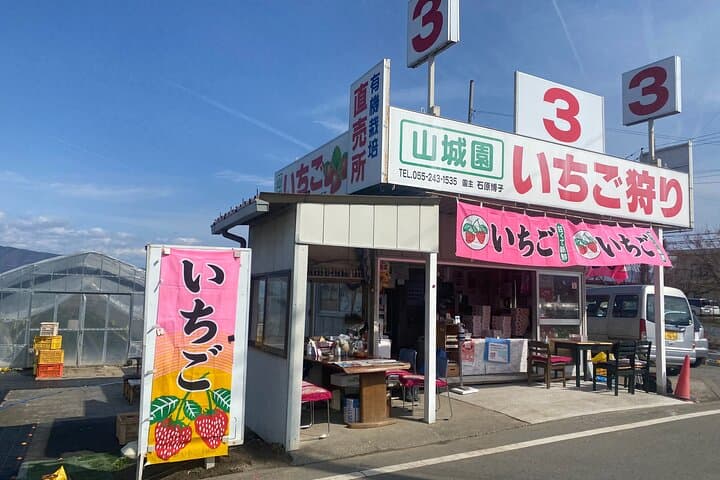 All-you-can-eat picking of organic strawberries in Yamanashi — photo 6