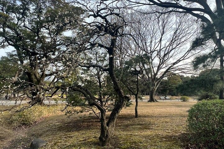 Hama-rikyu Gardens Walking Tour with Matcha& Japanese Sweets — photo 11