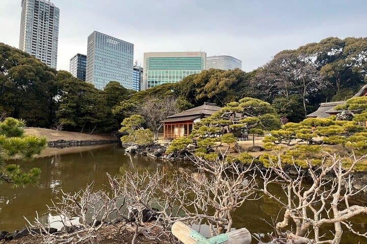 Hama-rikyu Gardens Walking Tour with Matcha& Japanese Sweets — photo 7