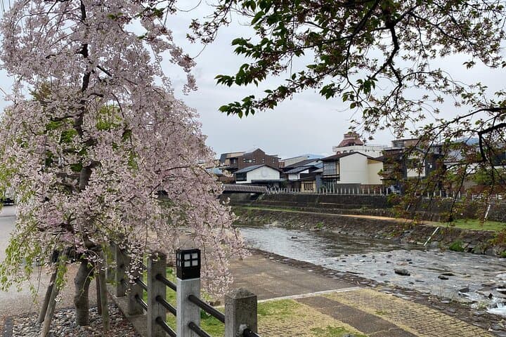 Half-Day Takayama Walking Tour with an English Speaking Guide — photo 4