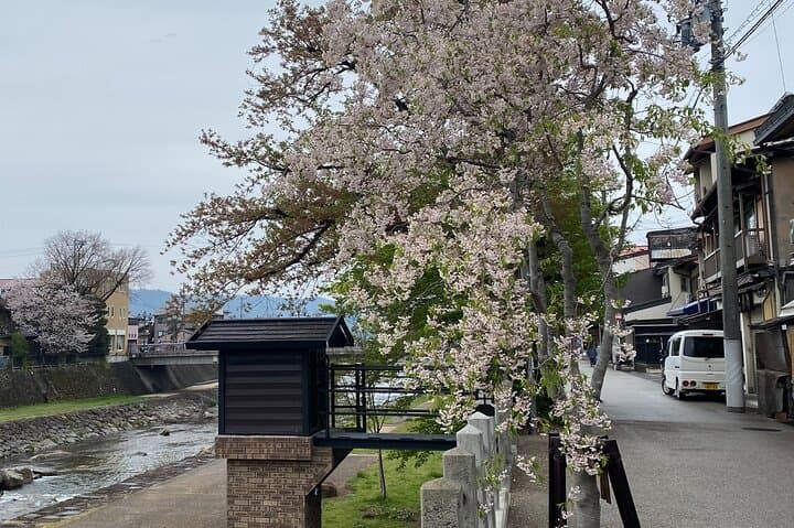 Half-Day Takayama Walking Tour with an English Speaking Guide — photo 5