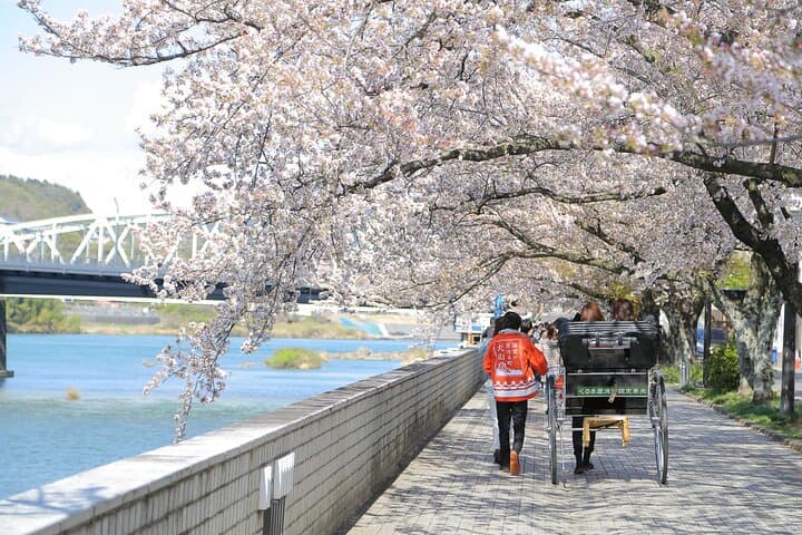 1 Day Seki Mino and National Treasure Inuyama Castle from Nagoya — photo 2