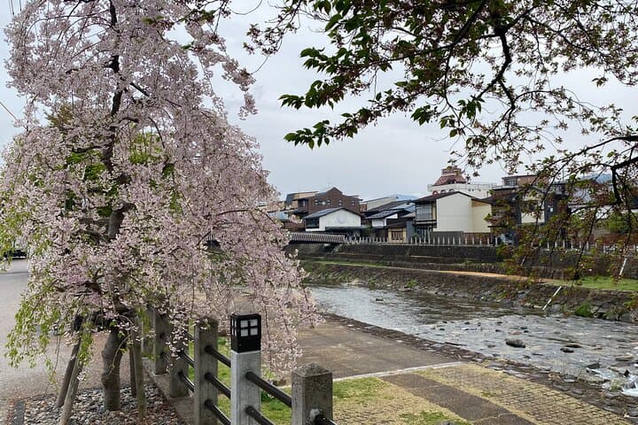 1Day Private Shirakawago and Takayama with Public bus from Nagoya — photo 6