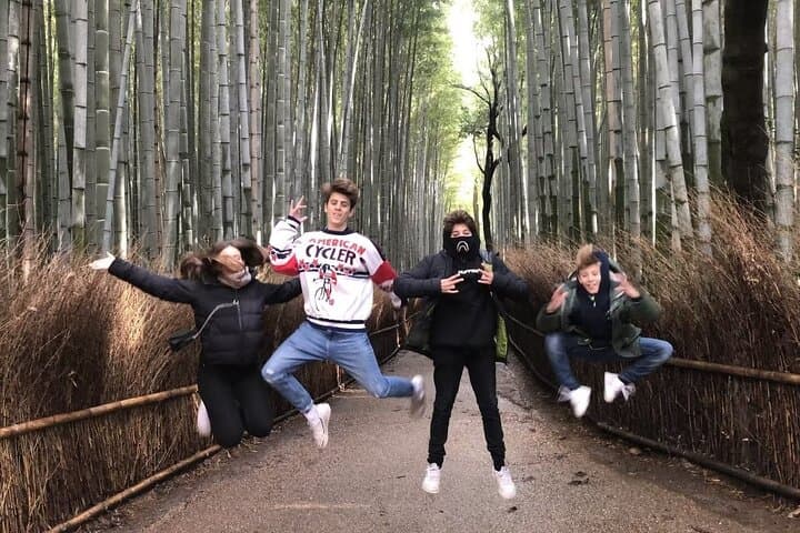 Kyoto Arashiyama Bamboo Forest & Scenery Customized Private Tour — photo 14