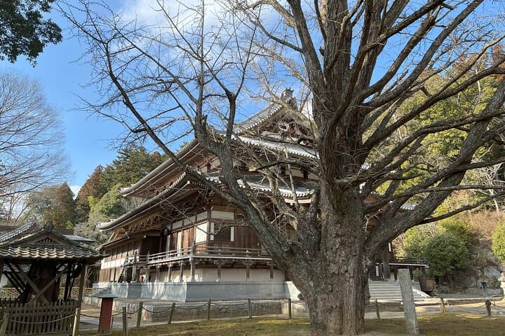 Private Sake Brewery Tour and Shinran Temple Visit — photo 10