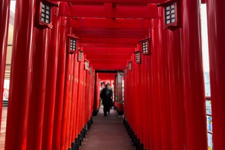 ZodiacShrines and Naha Backstreets CyclingTour【Free cancellation]