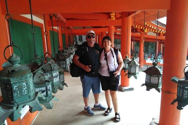 Nara Private Tour: Flexible Pickup from Kyoto, Osaka, or Nara — photo 3
