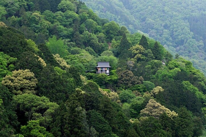 Explore Arashiyama Bamboo Forest with Authentic Zen Experience — photo 8
