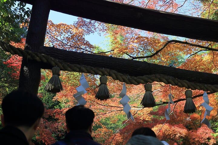 Explore Arashiyama Bamboo Forest with Authentic Zen Experience — photo 10