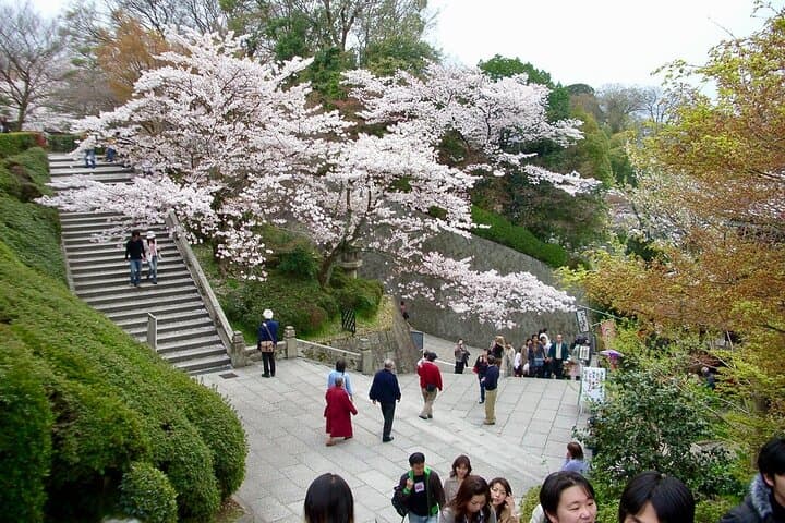 Kiyomizudera, Higashiyama and Yasaka Shrine Guided Walking Tour — photo 9