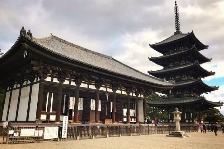 Nara Todaiji Kasuga Taisha Private Full Day Tour From Kyoto — photo 14
