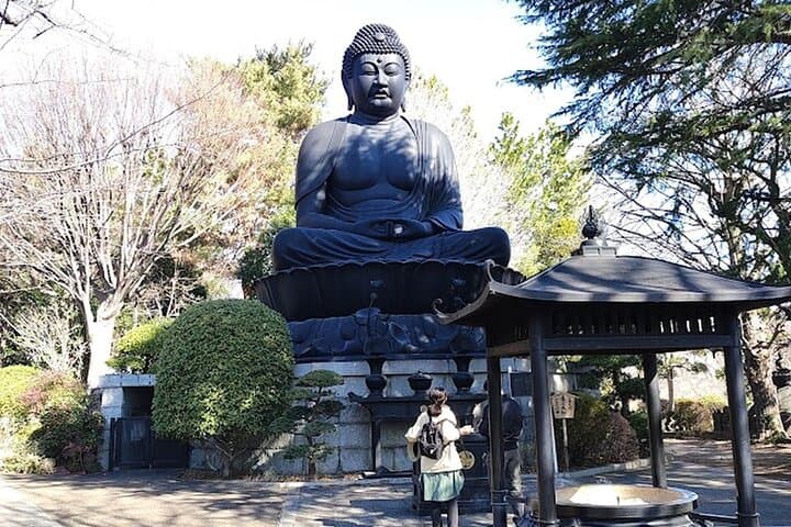 Private Walking tour, Tokyo Great Buddha, Botanical Garden, etc. — photo 2