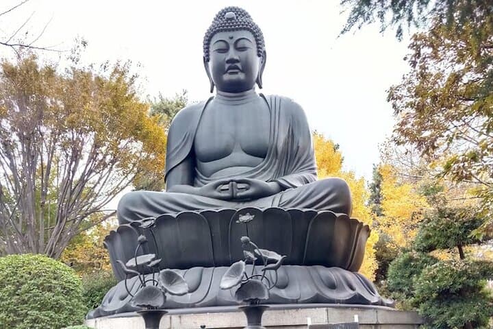 Private Walking tour, Tokyo Great Buddha, Botanical Garden, etc. — photo 1