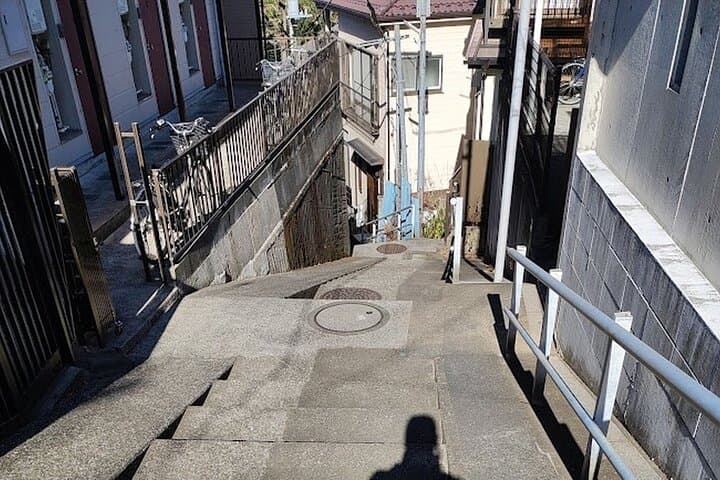 Private Walking tour, Tokyo Great Buddha, Botanical Garden, etc. — photo 3