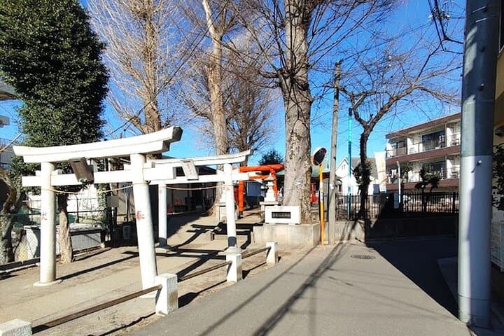 Private Walking tour, Tokyo Great Buddha, Botanical Garden, etc. — photo 4