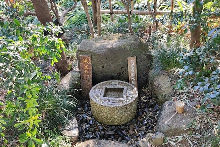 Private Walking tour, Tokyo Great Buddha, Botanical Garden, etc. — photo 6