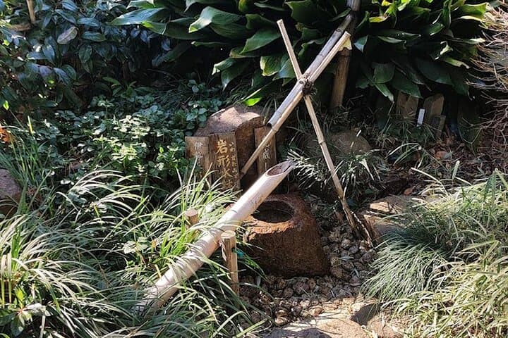 Private Walking tour, Tokyo Great Buddha, Botanical Garden, etc. — photo 7