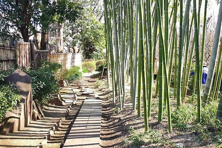 Private Walking tour, Tokyo Great Buddha, Botanical Garden, etc. — photo 8