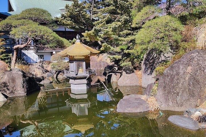 Private Walking tour, Tokyo Great Buddha, Botanical Garden, etc. — photo 12