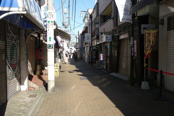 Private Walking tour, Tokyo Great Buddha, Botanical Garden, etc. — photo 5